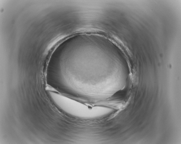 X0000087591453200705112251