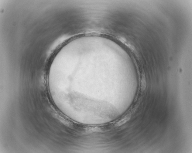 X0000087591454200705112251