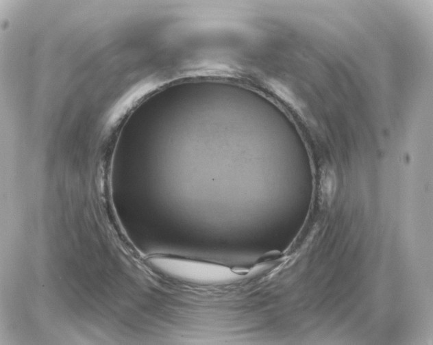 X0000087591455200705112251