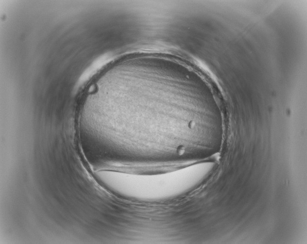 X0000087591456200705112251