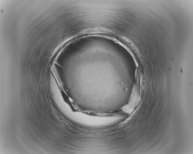 X0000087591457200705112251