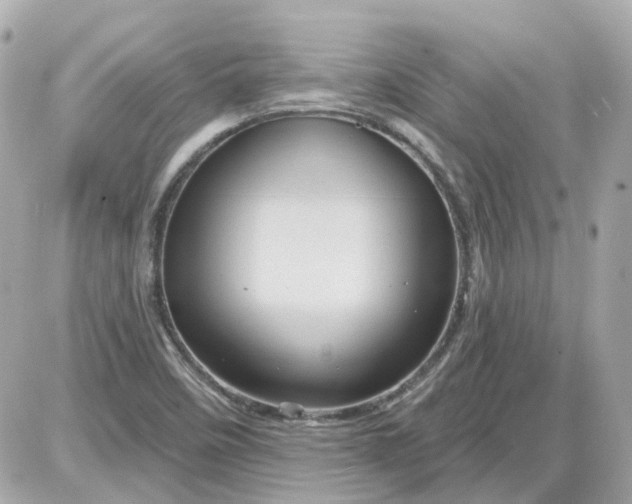 X0000087591458200705112251