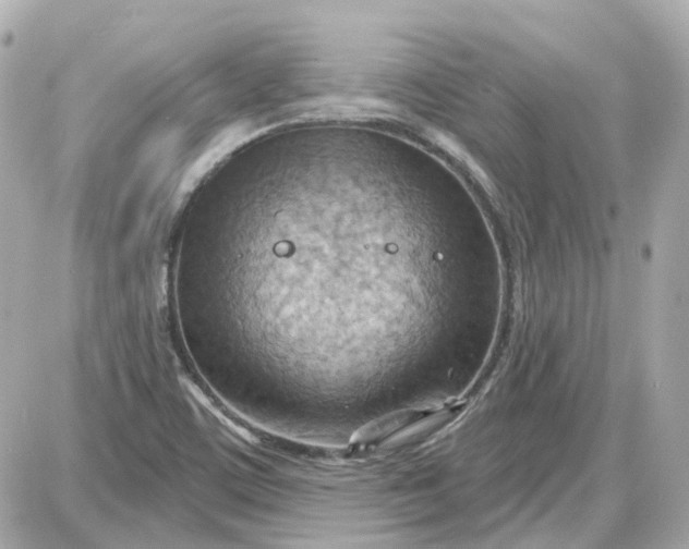 X0000087591459200705112251