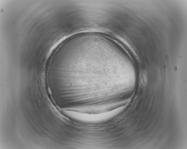 X0000087591460200705112251