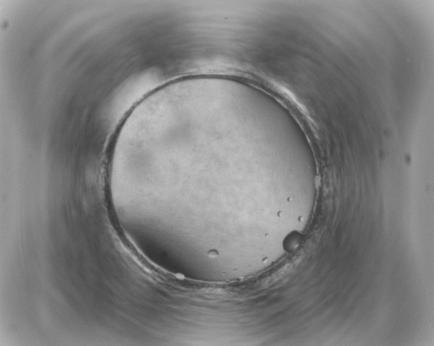 X0000087591463200705112251