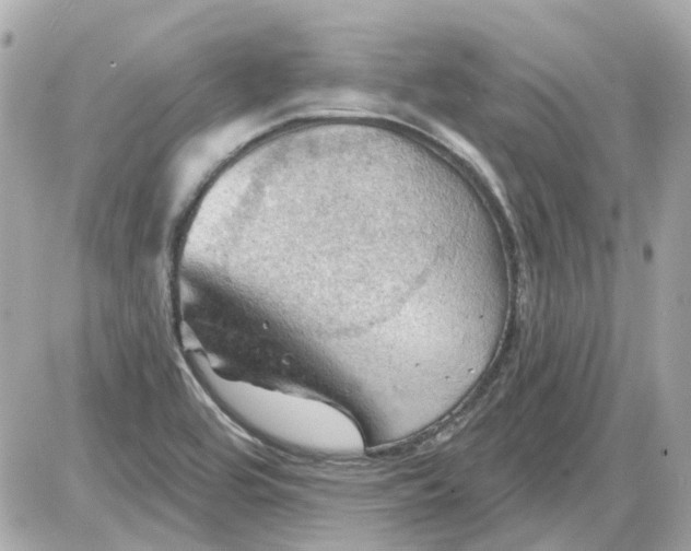 X0000087591464200705112251