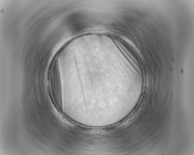 X0000087591466200705112251