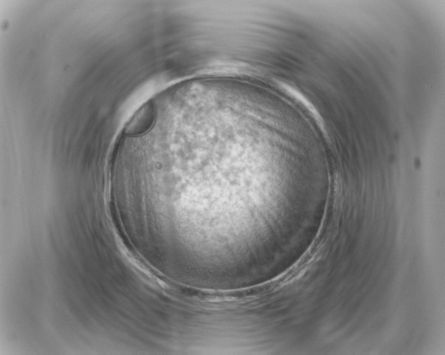 X0000087591467200705112251