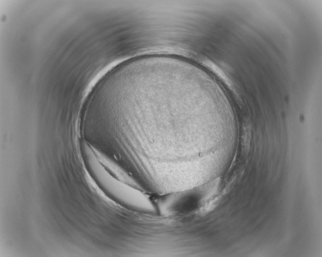 X0000087591468200705112251