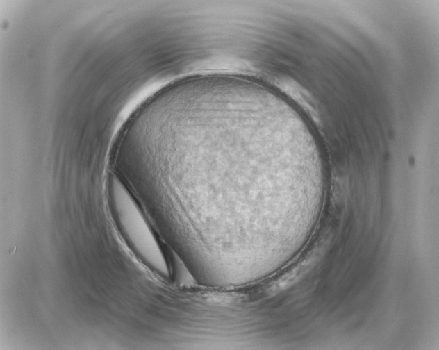 X0000087591469200705112251