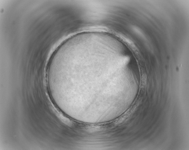 X0000087591470200705112251