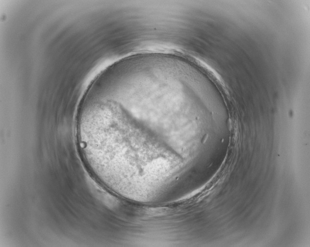 X0000087591471200705112251