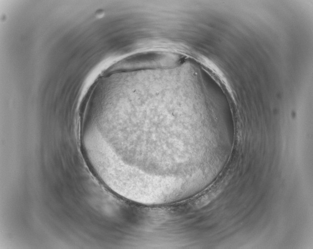 X0000087591472200705112251