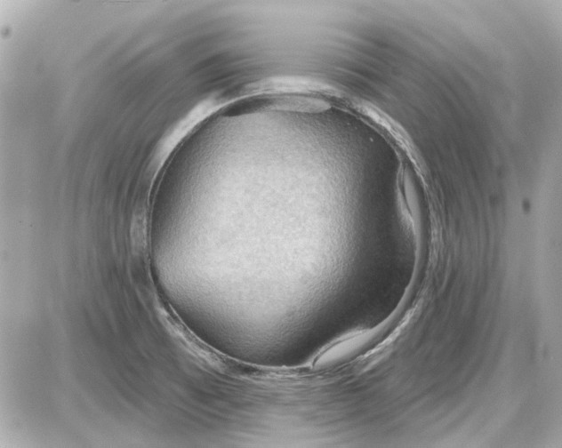 X0000087591473200705112251