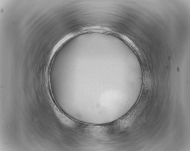 X0000087591474200705112251