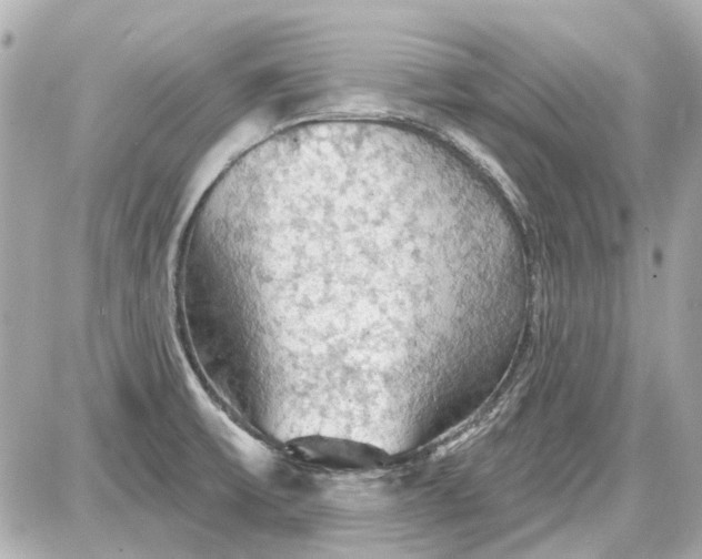 X0000087591475200705112251