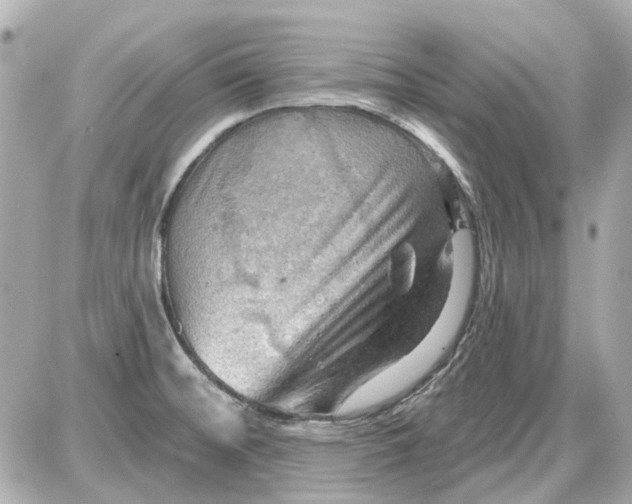 X0000087591476200705112251