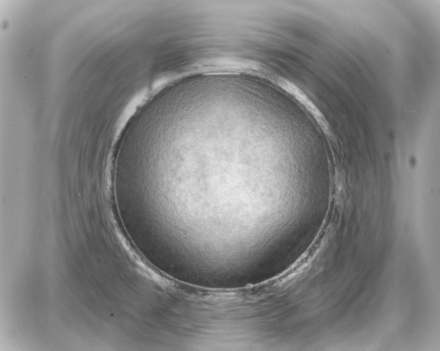 X0000087591477200705112251