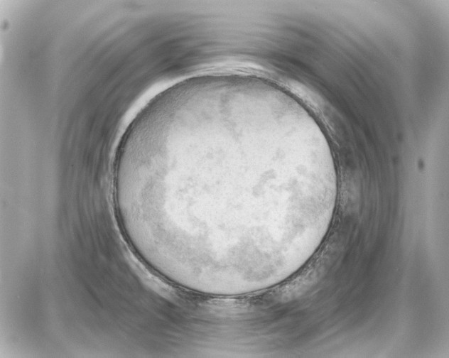 X0000087591478200705112251