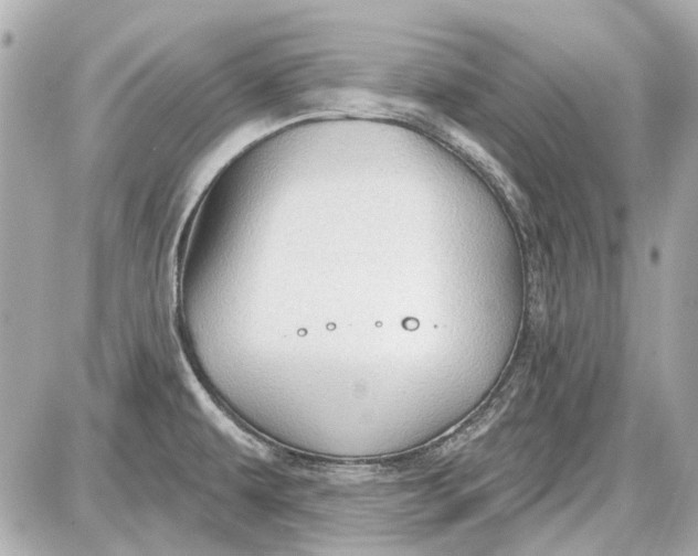 X0000087591479200705112251