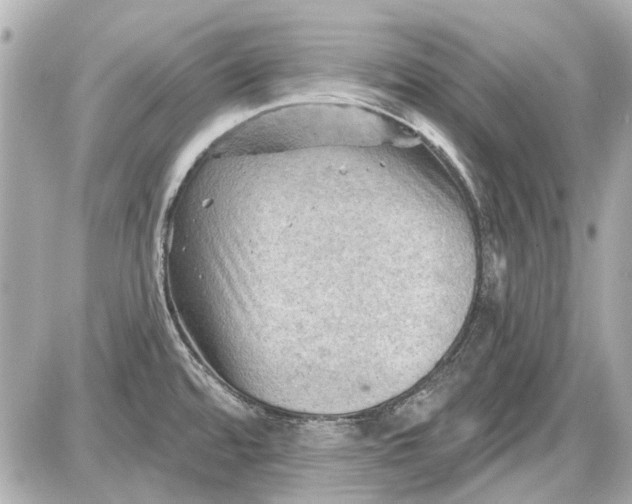 X0000087591480200705112251