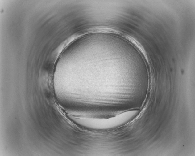 X0000087591481200705112251