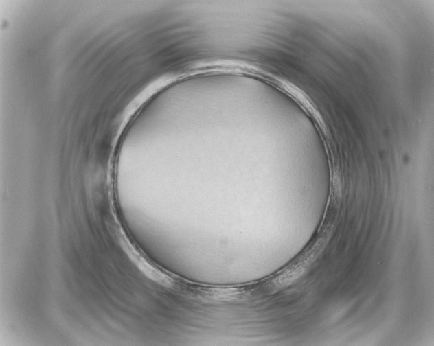 X0000087591482200705112251