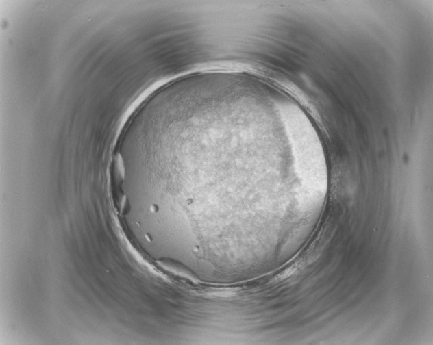 X0000087591484200705112250