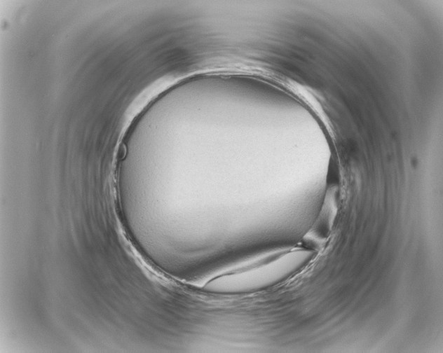 X0000087591485200705112250