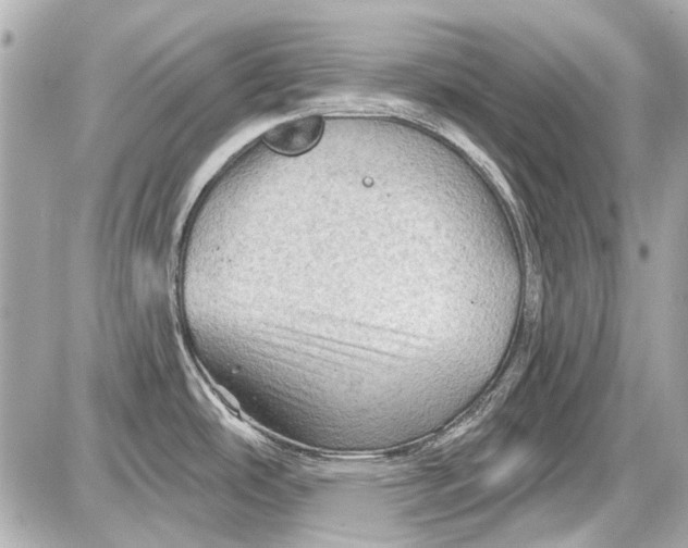 X0000087591486200705112250