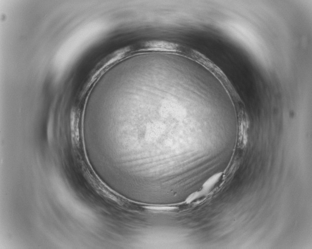 X0000087591487200705112250