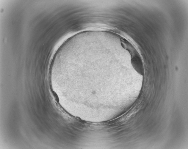 X0000087591488200705112250