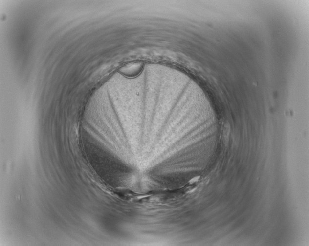 X0000087591489200705112250