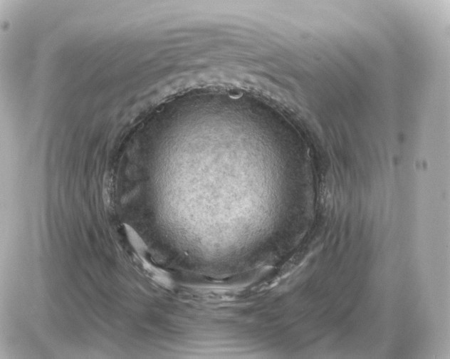 X0000087591490200705112250