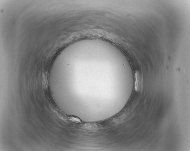 X0000087591491200705112250