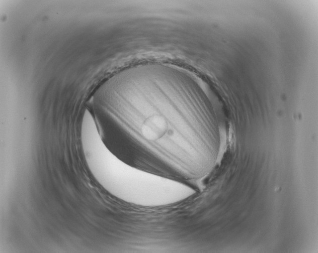 X0000087591492200705112250