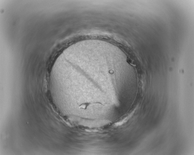 X0000087591493200705112250