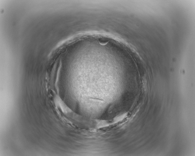 X0000087591494200705112250