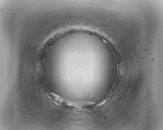 X0000087591495200705112250