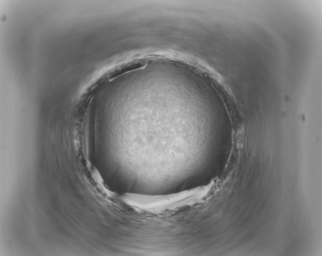 X0000087591496200705112250