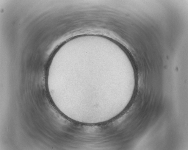 X0000087591498200705112250