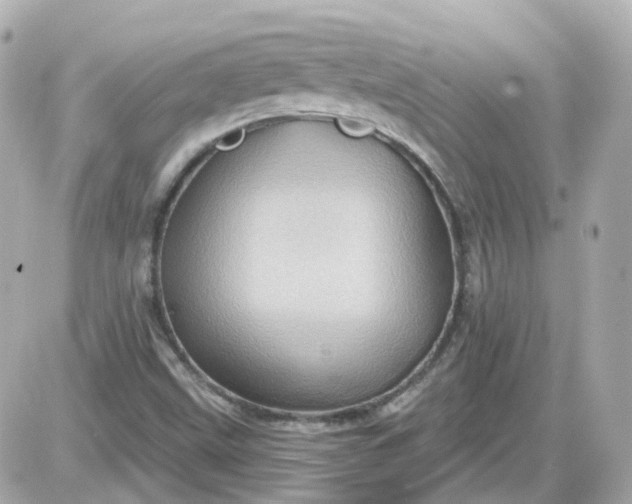 X0000087591499200705112250