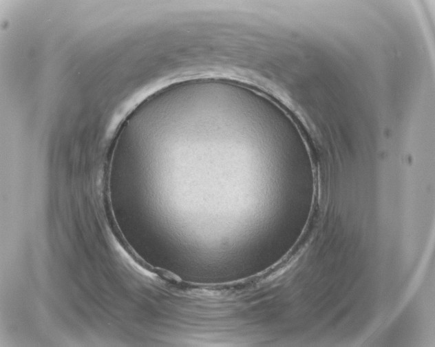 X0000087591500200705112250