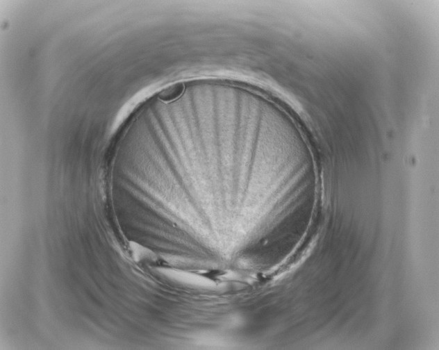 X0000087591501200705112250