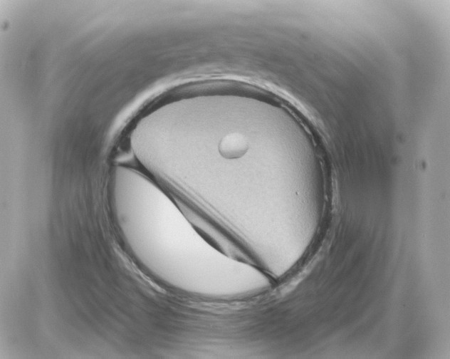 X0000087591502200705112250