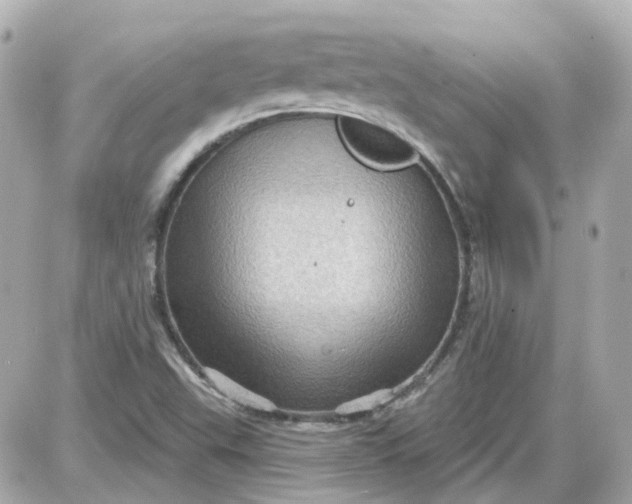 X0000087591503200705112250