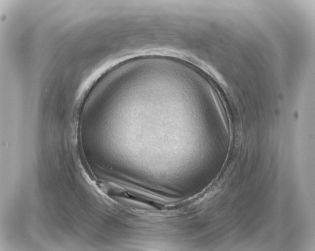 X0000087591504200705112250