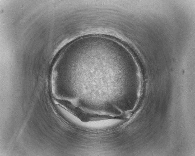 X0000087591505200705112250