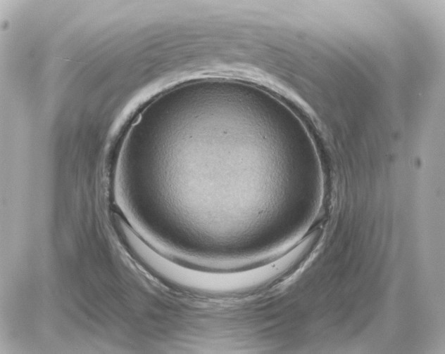 X0000087591506200705112250