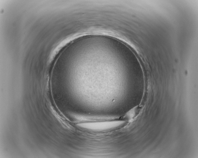 X0000087591507200705112250